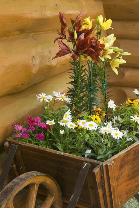 Decorative Flower Pot by the Cabin's Corner