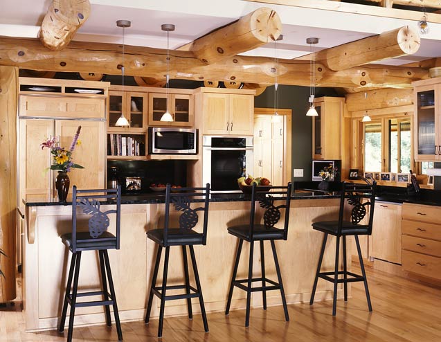 Modern Log Home Kitchen