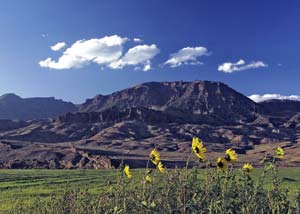 Copperleaf Wyoming | Mountain, Flowers