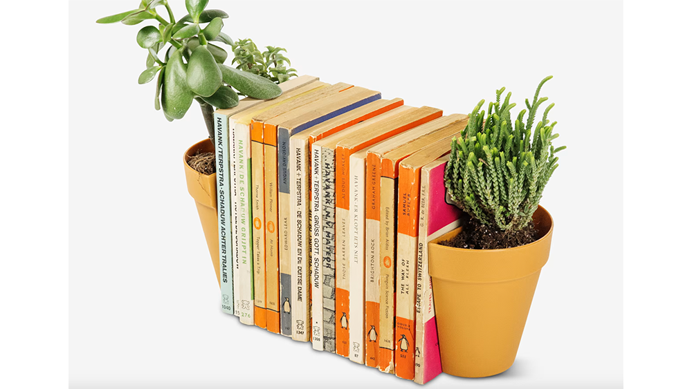 plant-bookends_11868_2023-11-27_16-14