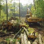Clearing Lot for Building | Wisconsin Log Homes Photo