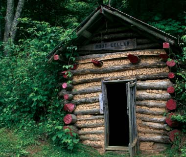 Root cellar made from logs