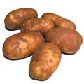 group of potatoes
