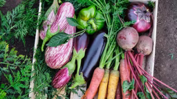 AdobeStock_289786427_11868_2023-05-04_10-25
