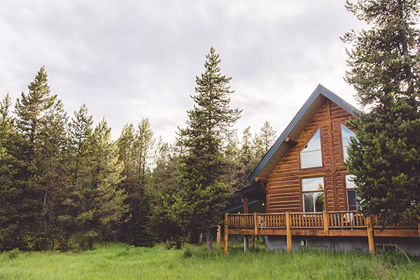 Cabin kings 3