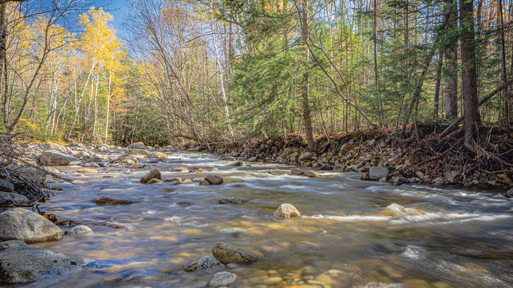 Northeastern_Hall23_Creek3_11868_2023-11-30_13-38