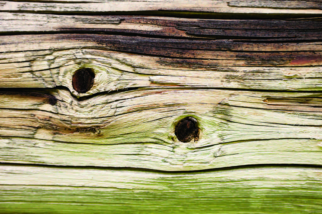 Wooden wall of the old log house