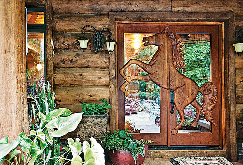 exterior door horse door log home logs light fixtures plants entryway